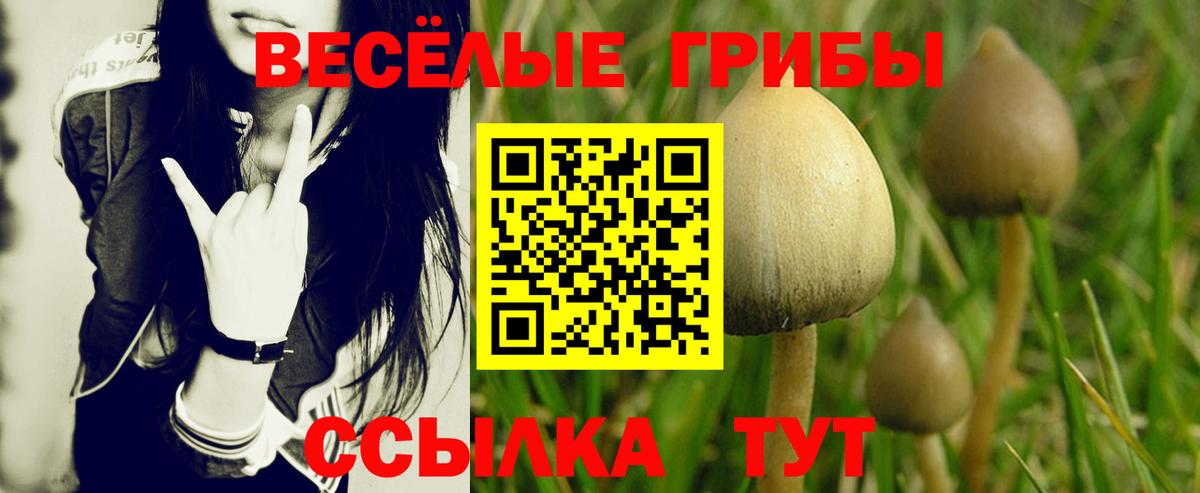 Арсеньев  Галлюциногенные грибы MAGIC MUSHROOMS  Вход с VPN 